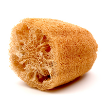 Laden Sie das Bild in den Galerie-Viewer, Luffa Naturschwamm 10 cm Loofah | natürlich + vegan | von actiMare natural cosmetics - actiMare.de Shop